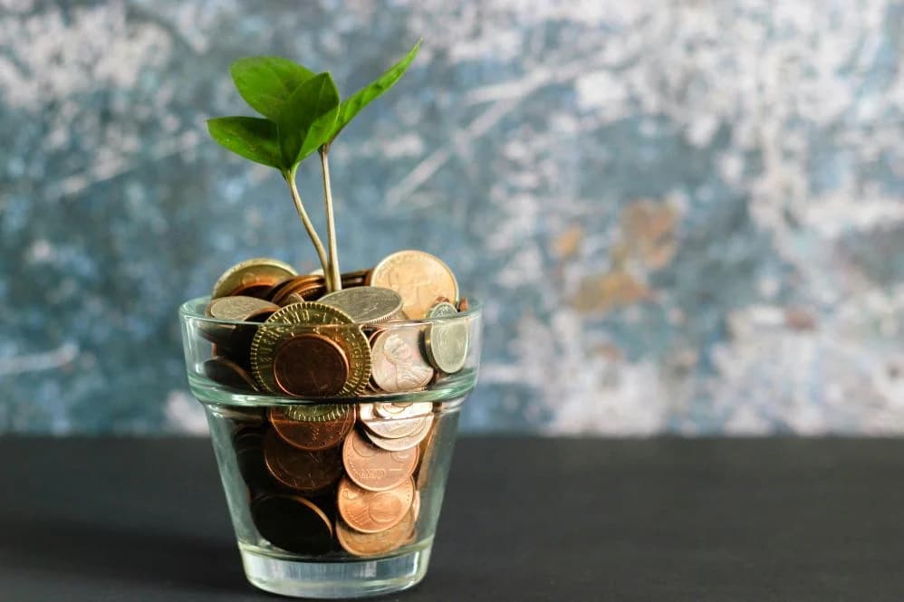 How Much You Should Invest In PPC Budget For Your Business