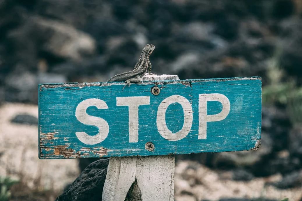 Why You Should Never Buy An Email List
