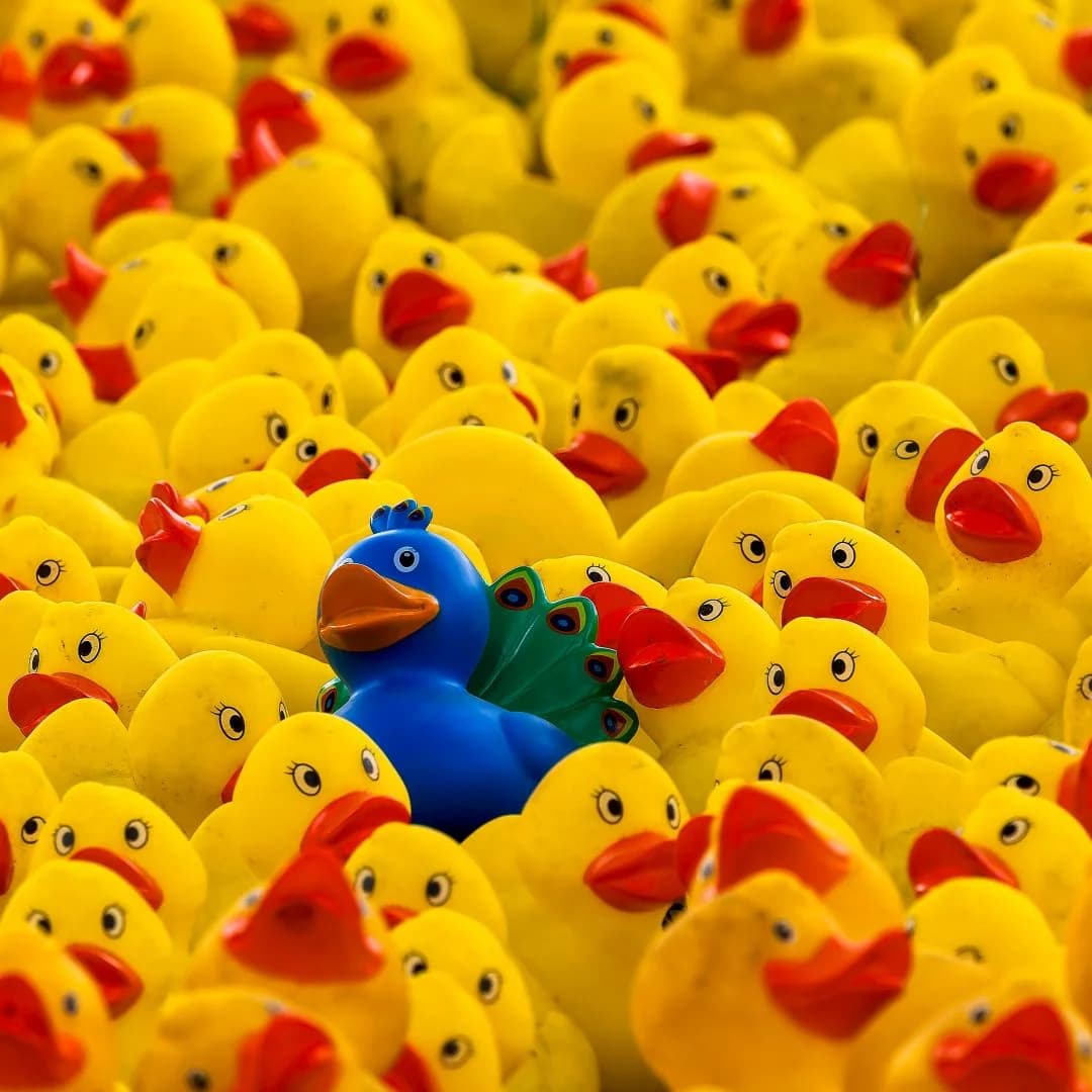 How To Use Google Ads Assets To Make Your Ads Stand Out